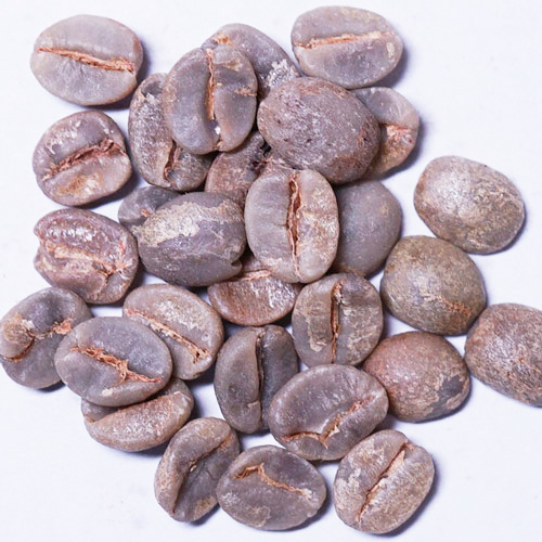 注文焙煎用ブラジル生豆の画像