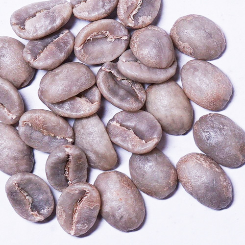 注文焙煎用コロンビア生豆の画像