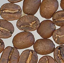 コーヒー焙煎度合い　シナモンロースト