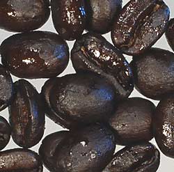 コーヒー焙煎度合い　フルシティーロースト