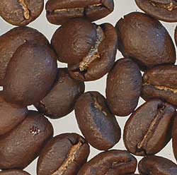 コーヒー焙煎度合い　ハイロースト