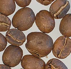 コーヒー焙煎度合い　ライトロースト