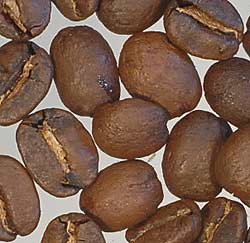 コーヒー焙煎度合い　ミディアムロースト