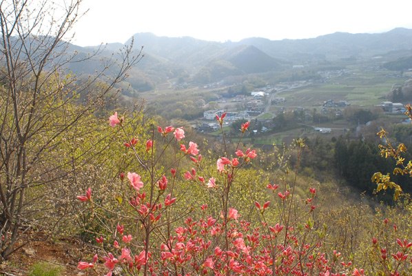 春の山の画像